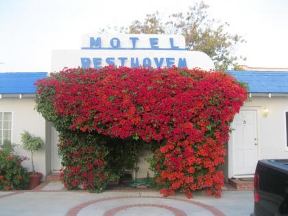 Motel in Santa monica California